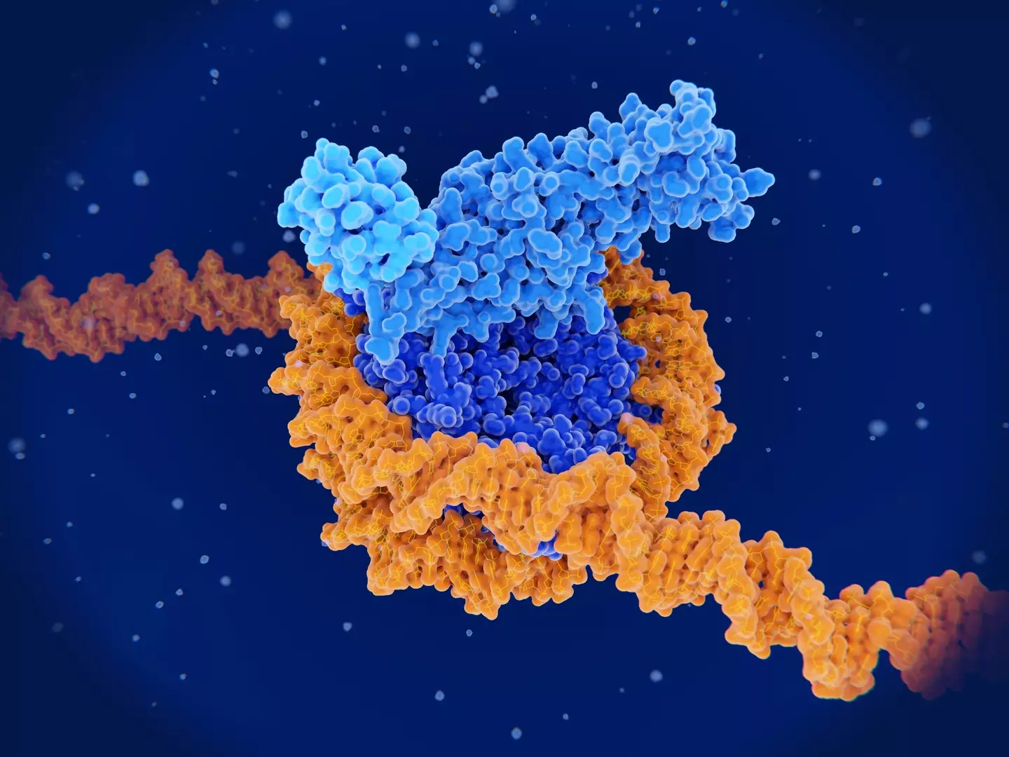 Scientists will be looking for changes in your epigenetics (Getty Stock Image)