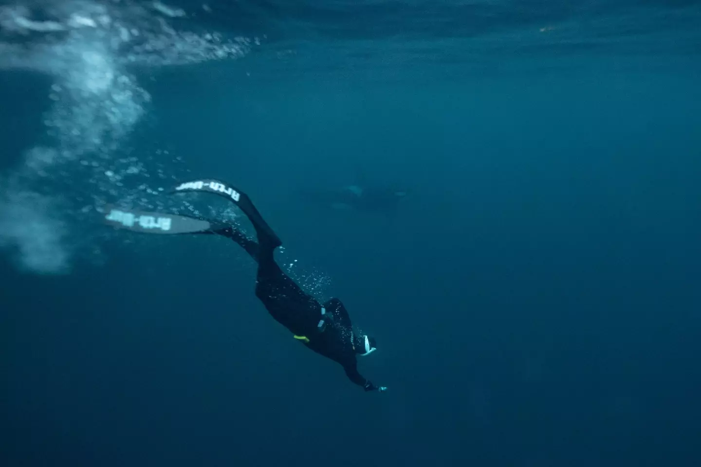 Not all Freediving involves going as deep as you can.
