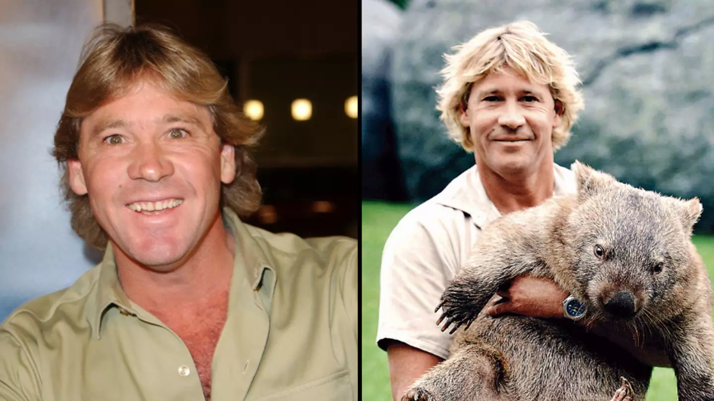 Mystery of video of Steve Irwin's death which caught his final moments on camera