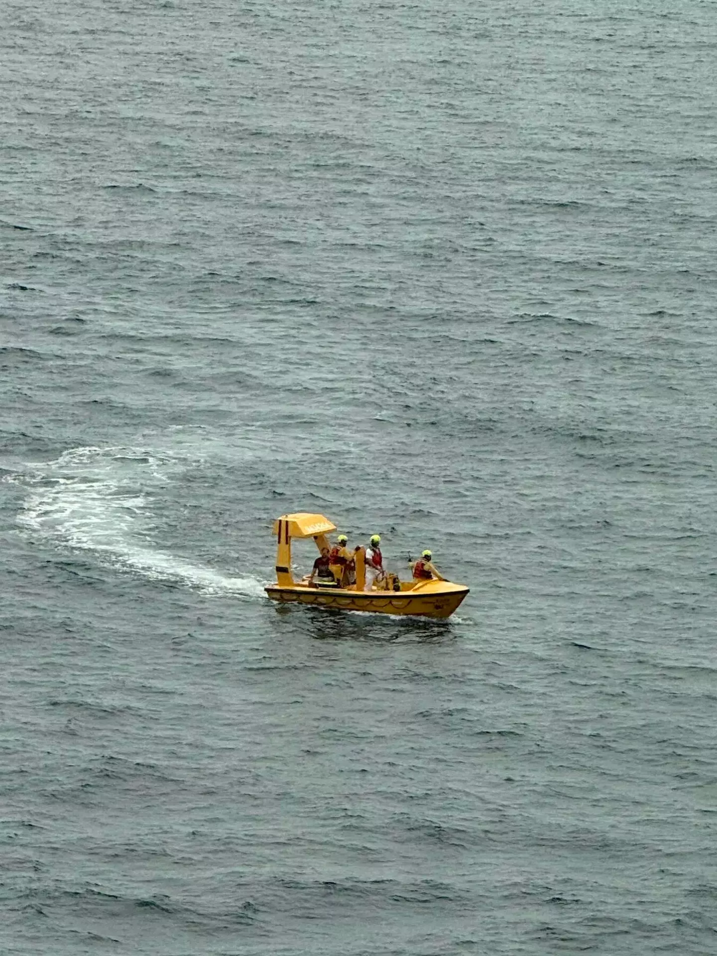 A rescue team set off quickly to fish both passengers out of the sea and get them back on board the ship (Facebook/DeWayne Smith)