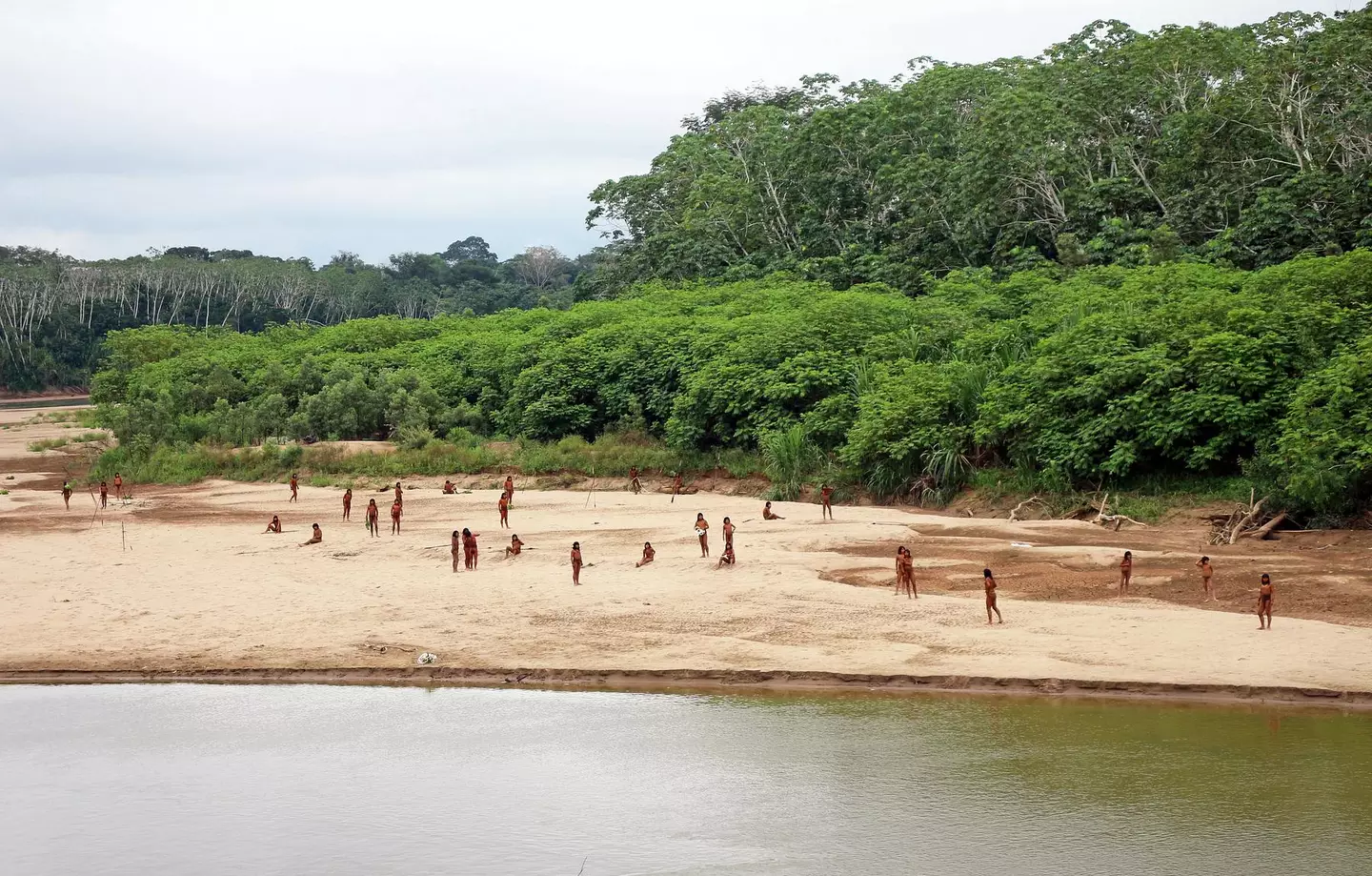 The Mashco Piro indigenous tribe have historically not taken well to outsiders (Survival International)