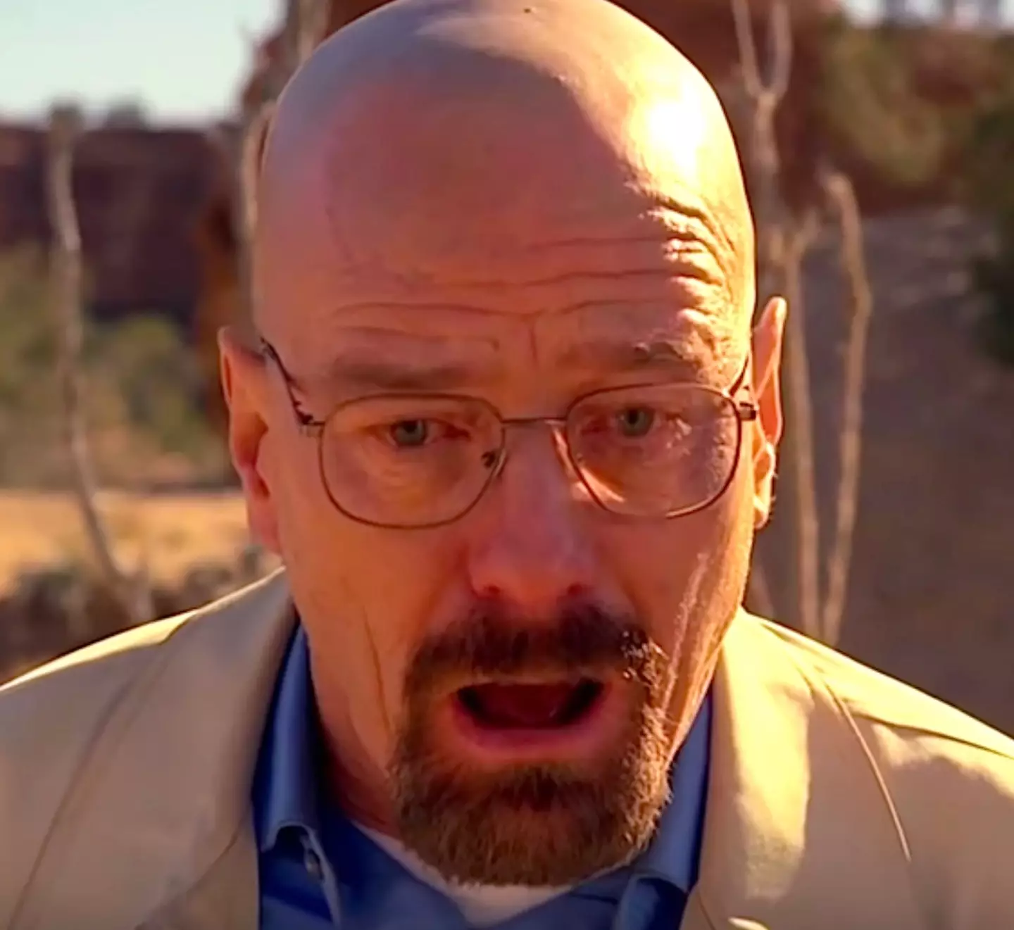 Bryan Cranston says he's going to step away from acting.