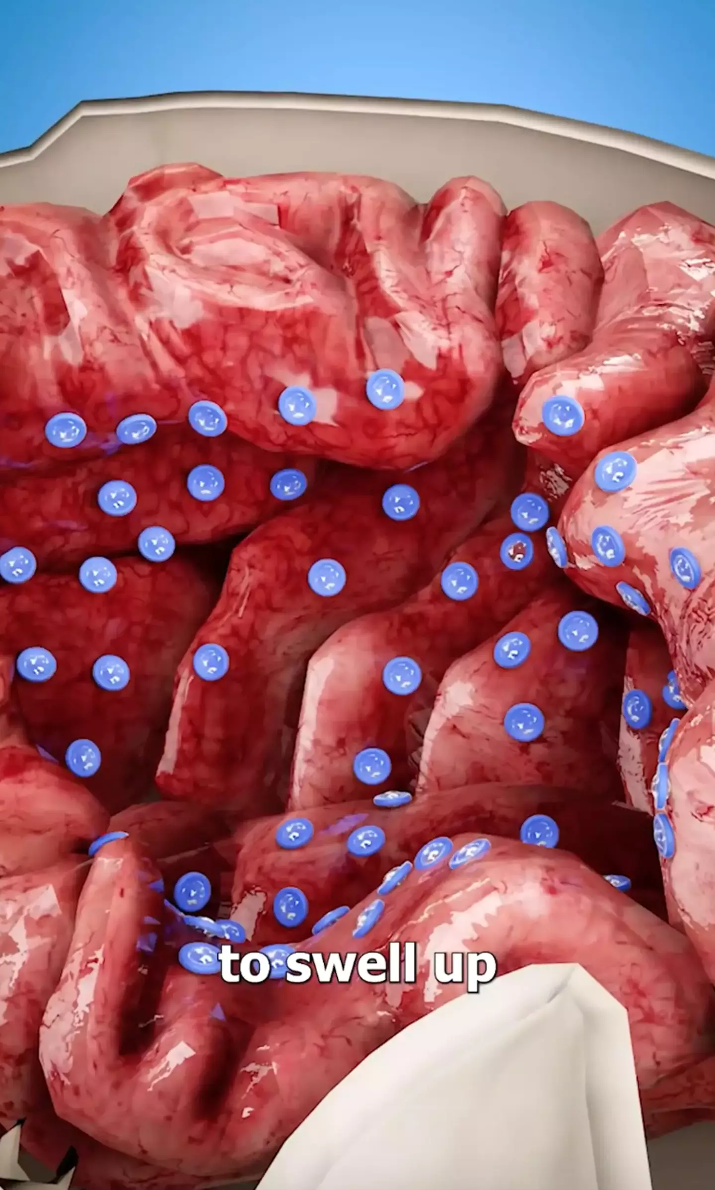 Too much water can cause your brain cells to swell which has ended up being lethal in extreme cases (YouTube/Zack D. Films)