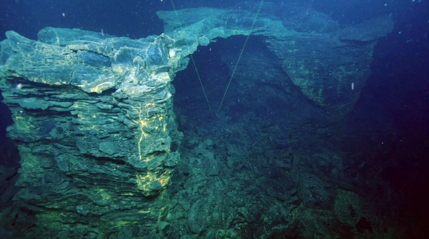 There is a low chance of the eruption affecting humans (University of Washington/OOI Regional Cabled Array)