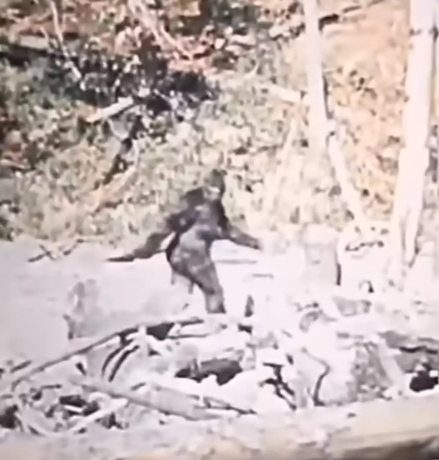 The footage has divided opinion for over fifty years.