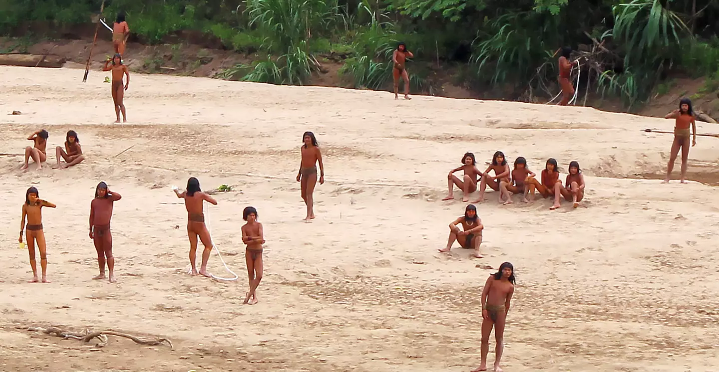 The group's ancestral lands are the rainforests of south-east Peru (Survival International)