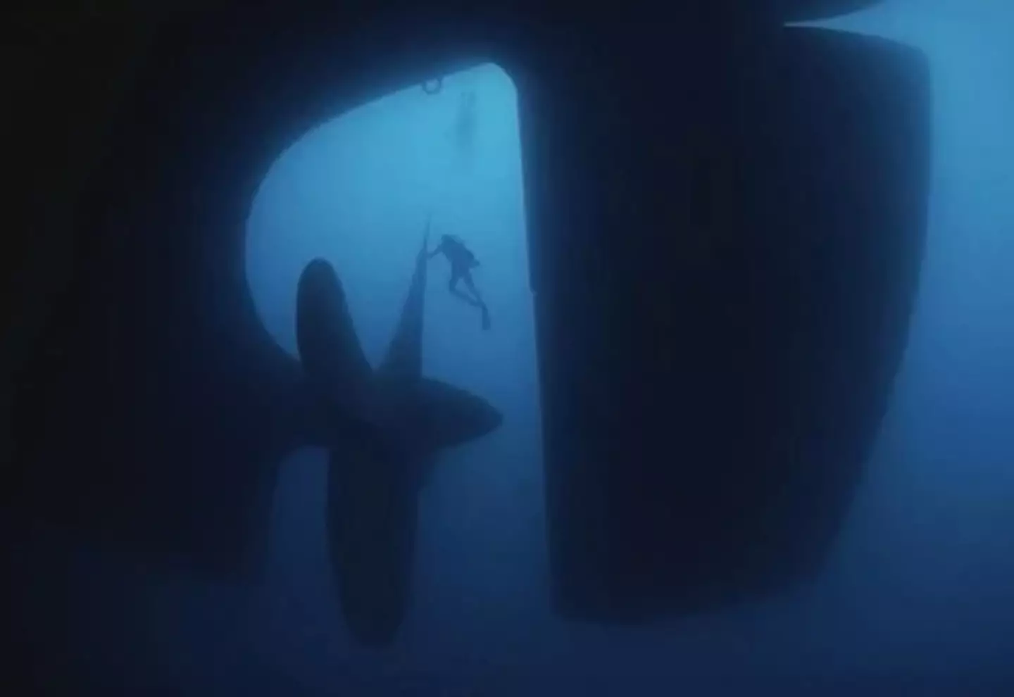 Is this picture doing anything for you? Is it creeping you out? (TikTok/@br1ghtfacts)