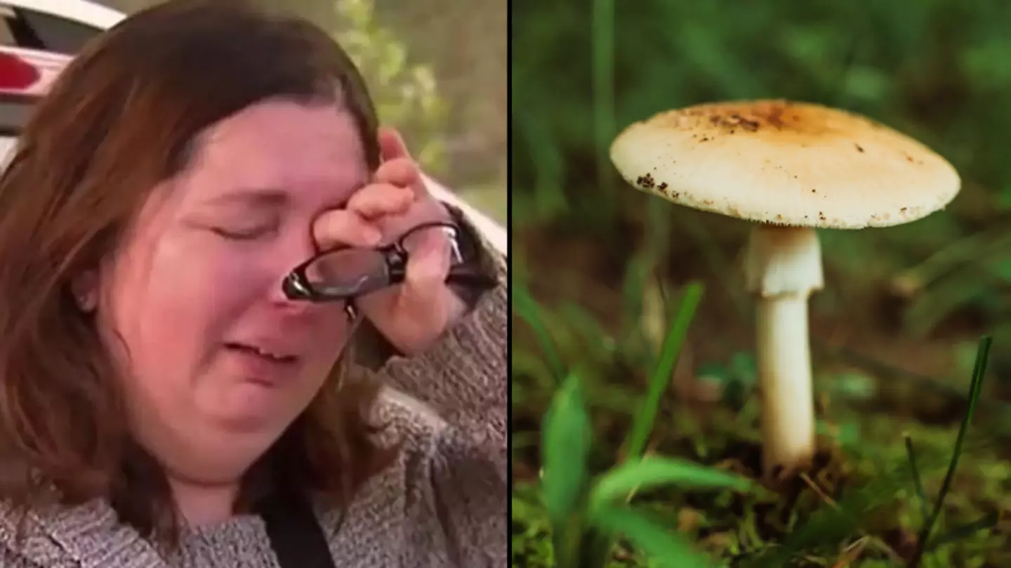 Chilling question ex-husband of poisonous mushroom cook asked after his parents died at dinner