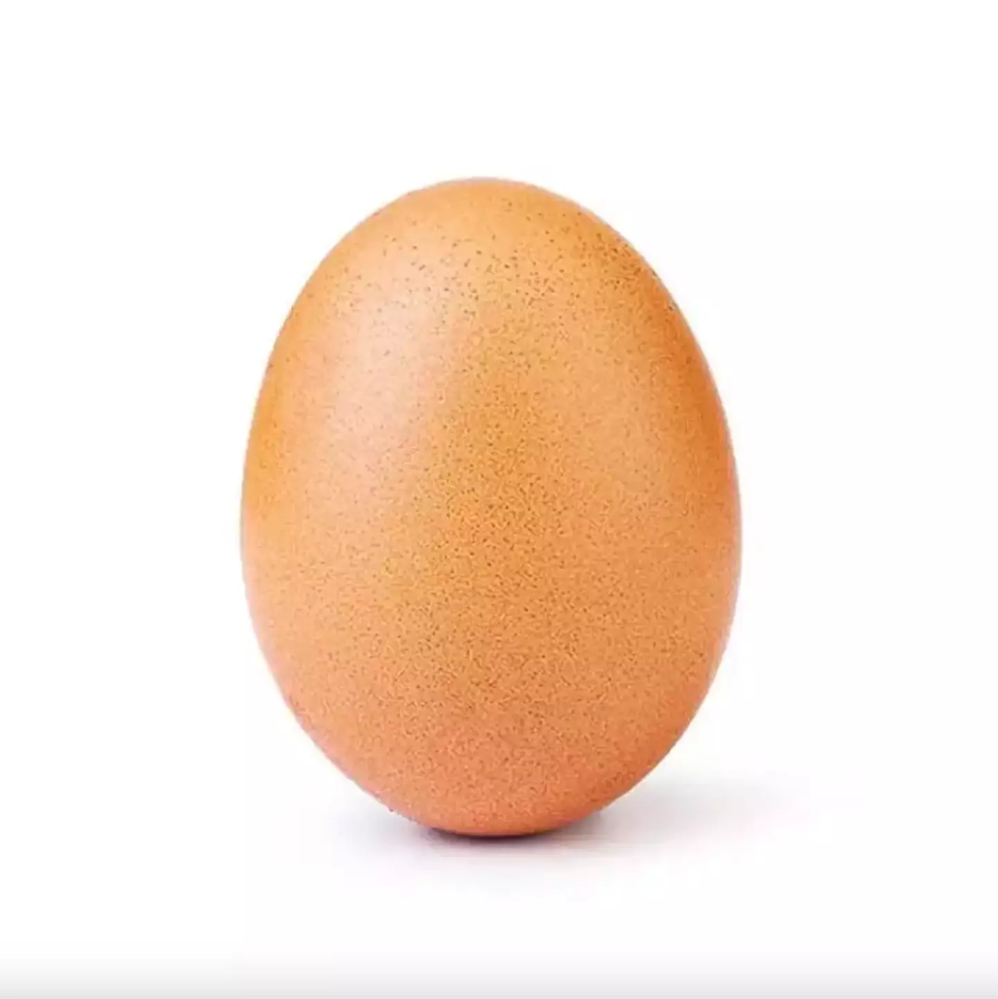 The famous egg in question (Instagram/@world_record_egg)