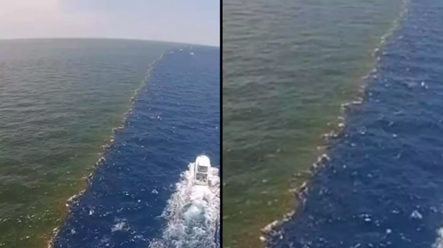 Worrying truth behind the point where Mississippi River meets the Gulf of Mexico