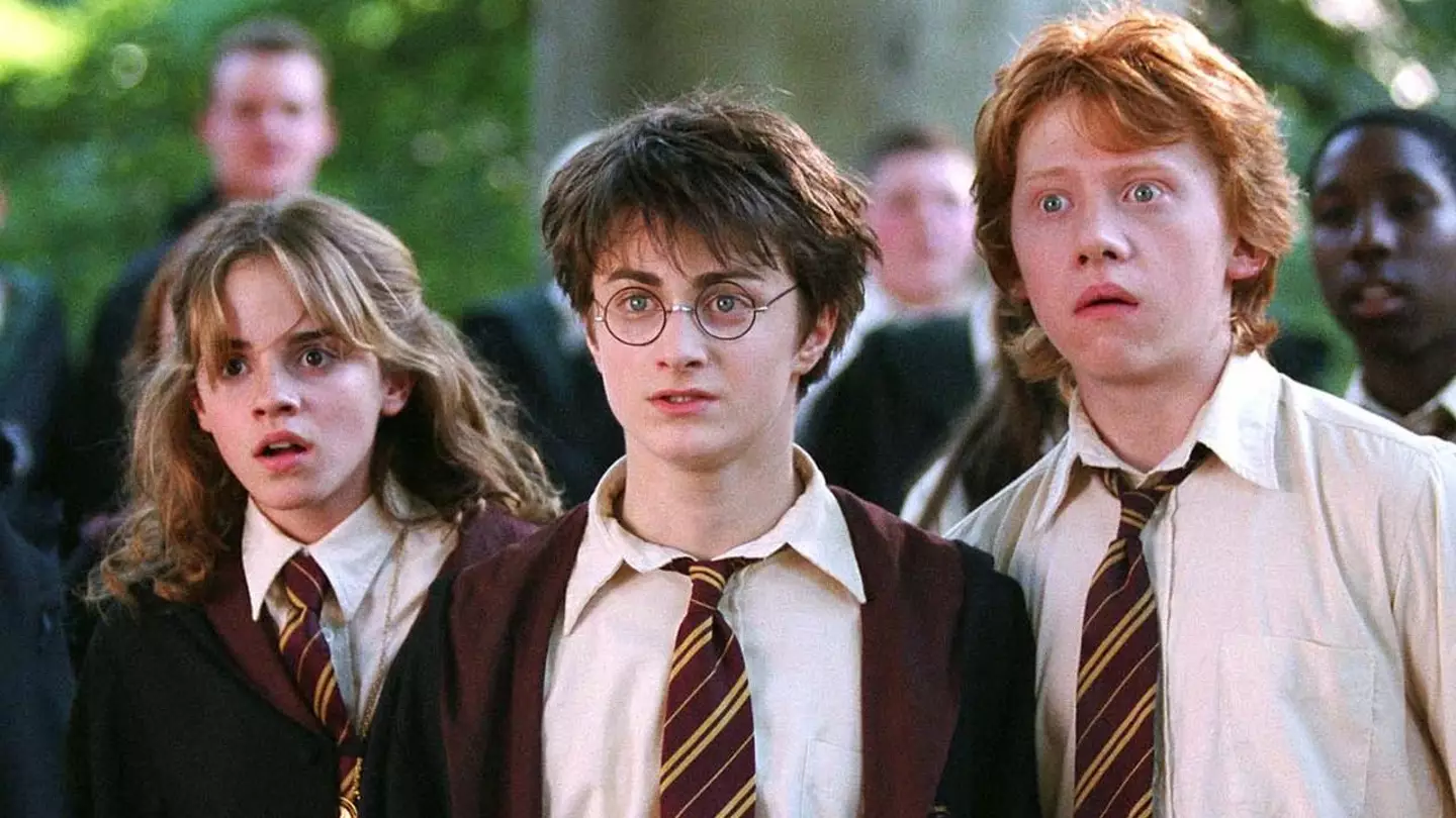 New Harry Potter actor announced for upcoming HBO series as all lead actors revealed