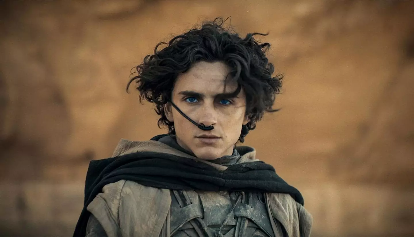 Timothée Chamalet stars in Dune: Part Two.