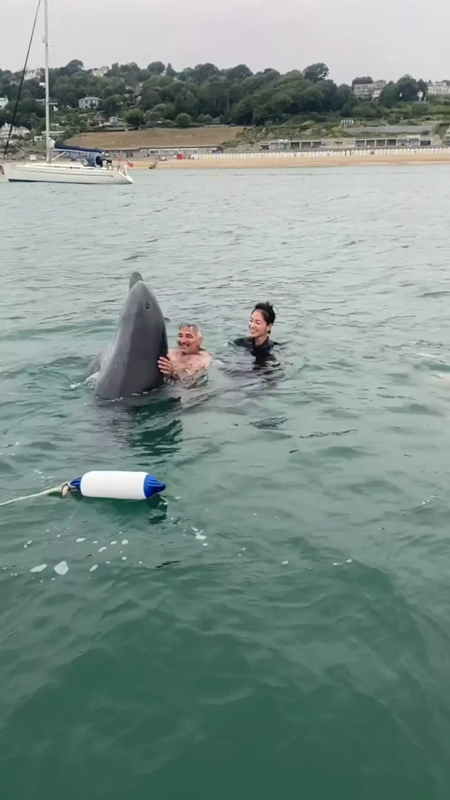 Reggie went viral for swimming with a family in Dorset (SWNS)