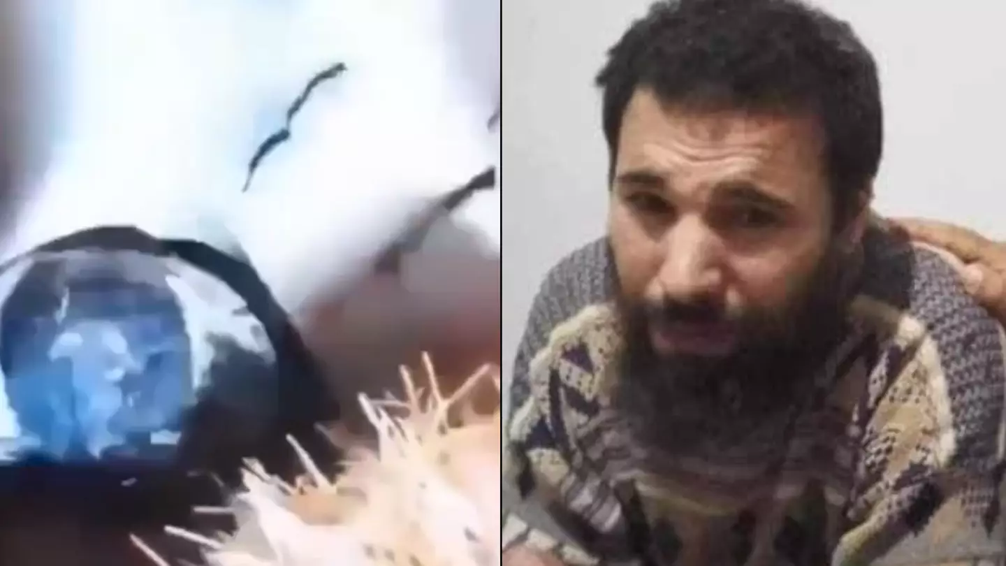 Video footage captures moment man who vanished nearly 30 years ago was found alive in neighbour's cellar