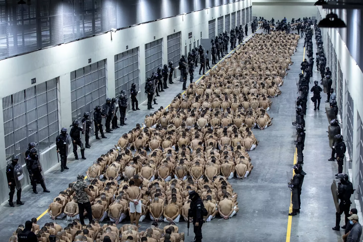 The CECOT is able to be able to hold 40,000 inmates (Handout/Presidencia El Salvador via Getty Images)