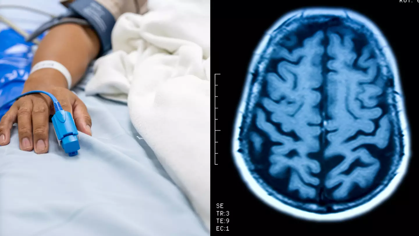 Scientists discover 'third state' between living and dying that could 'redefine death'