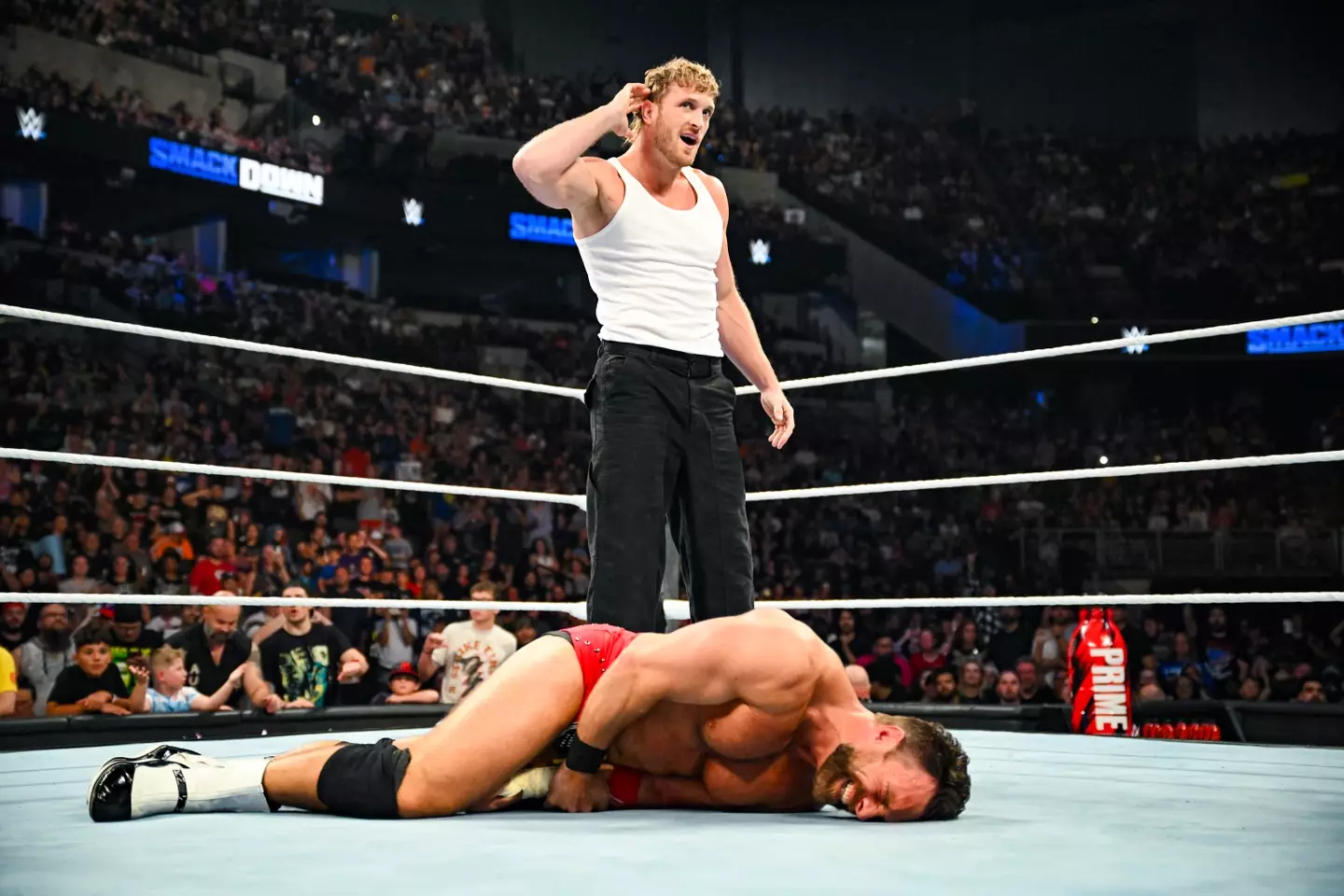 Logan Paul has enjoyed a revamped career since his infamous video in Japan. (WWE / Getty Images)