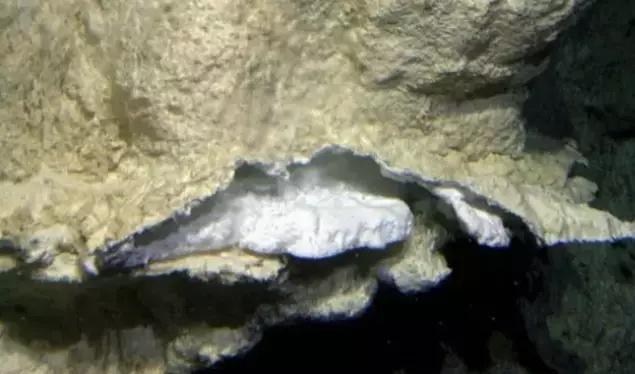 Scientists have called to protect the site from mining damage (University of Washington/Woods Hole Oceanographic Institution)