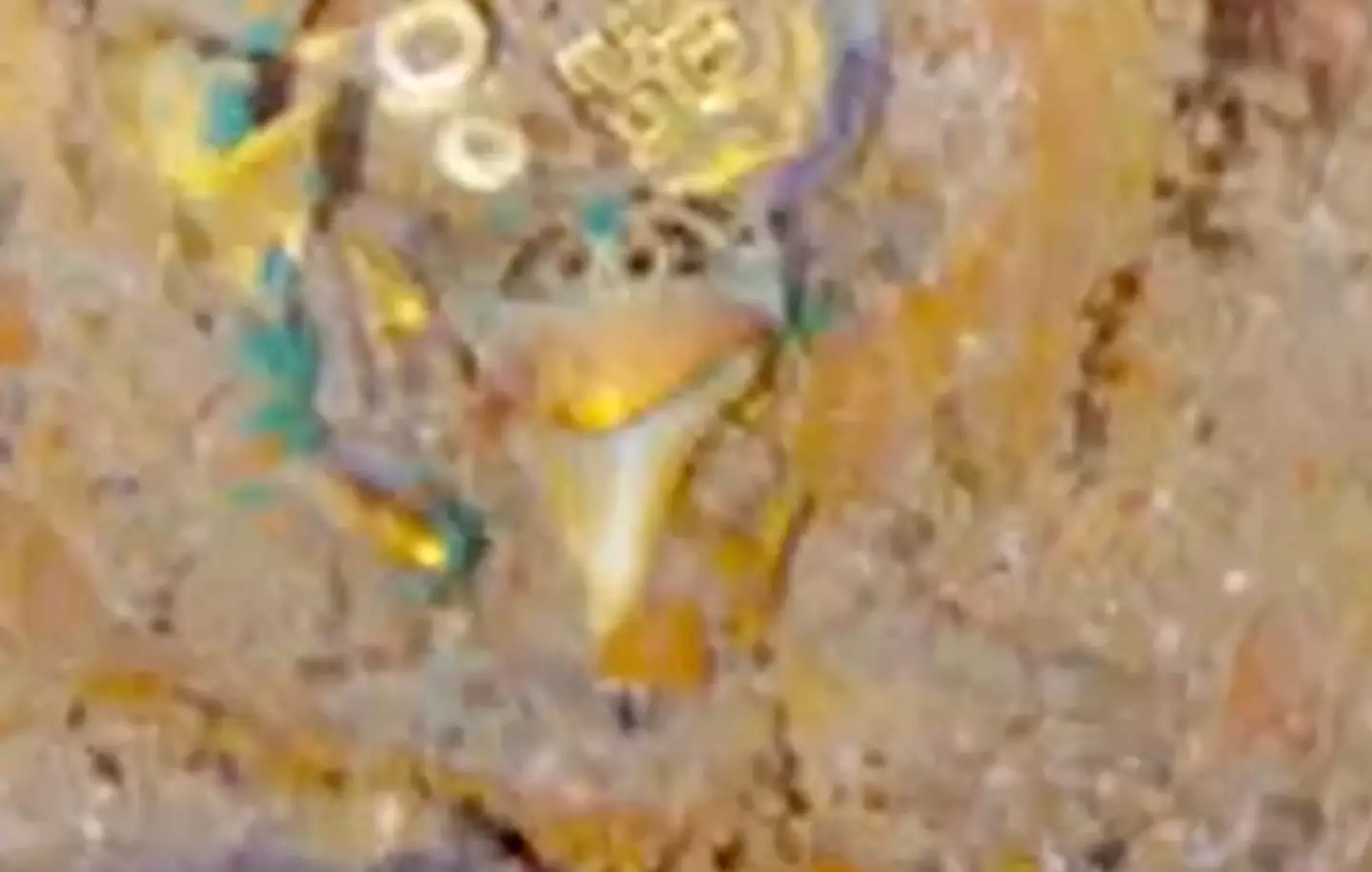 The necklace has not been removed from the wreckage.