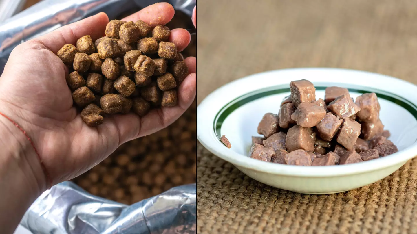 Uni Student Eats Free Dog Food For Breakfast, Lunch And Tea Then Hides The Packets