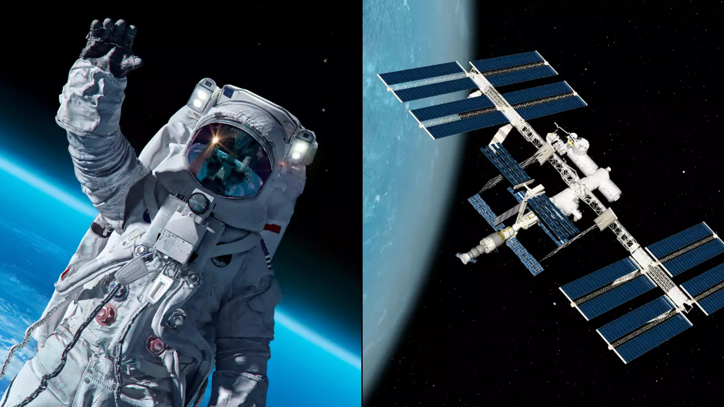 Astronaut who found blob growing outside International Space Station warned to flee immediately