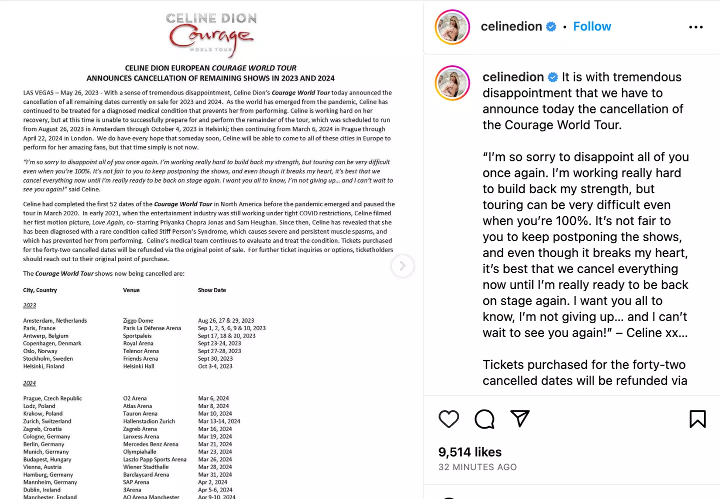 Celine Dion has cancelled her world tour.