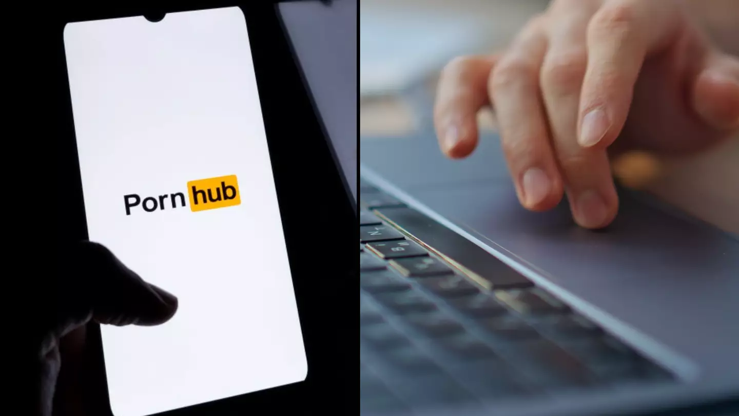 Pornhub's year-in-review reveals users' very bizarre internet habits of 2024