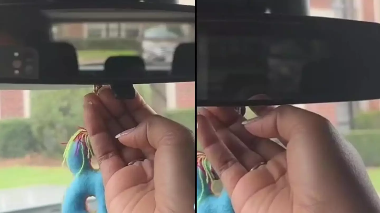 TikTok/@everythingbrooklyn