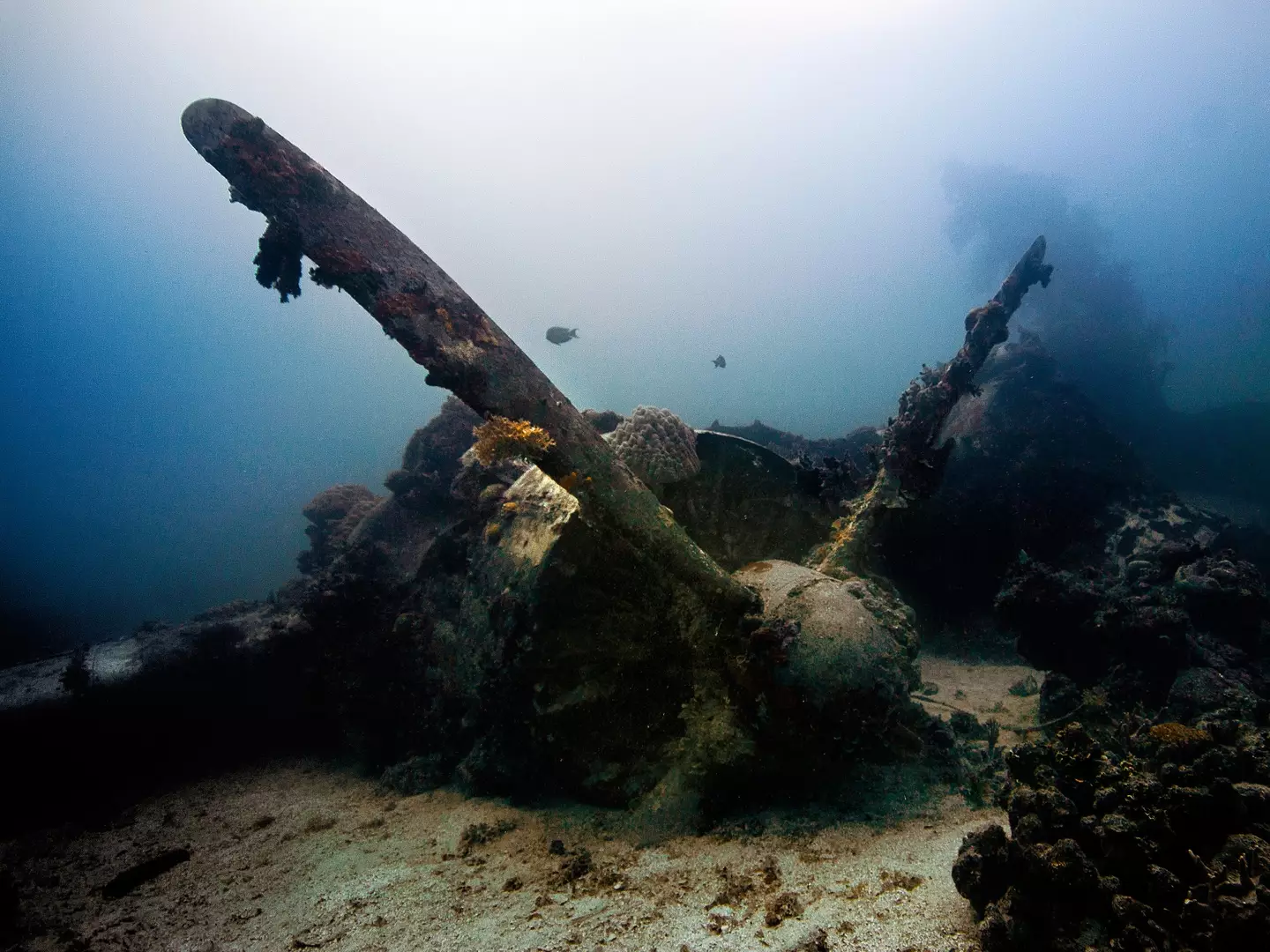 A plane in the underwater graveyard.
