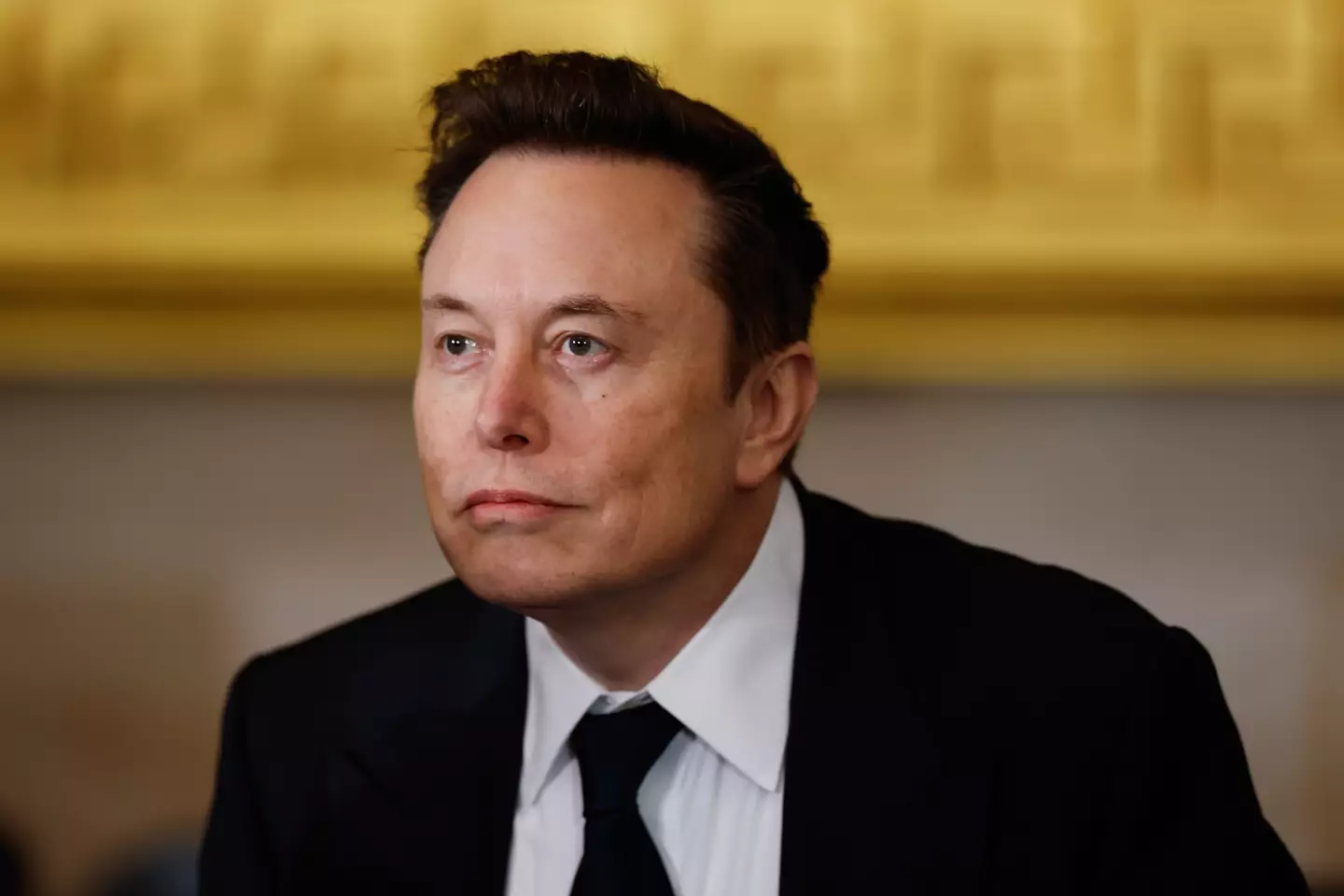 Elon Musk has now responded to the claim (Chip Somodevilla/Getty Images)