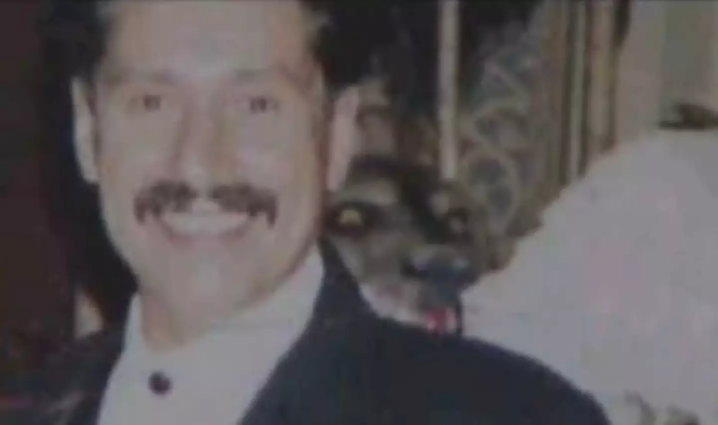 The so-called hellhound chillingly appeared over Joe's left shoulder in the image (YouTube/Fox News)