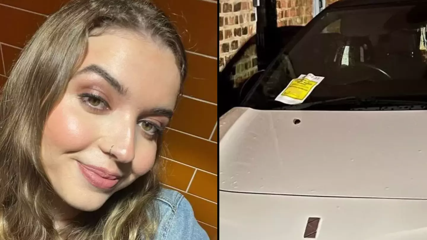 Woman successfully uses ChatGPT to get parking fine overturned