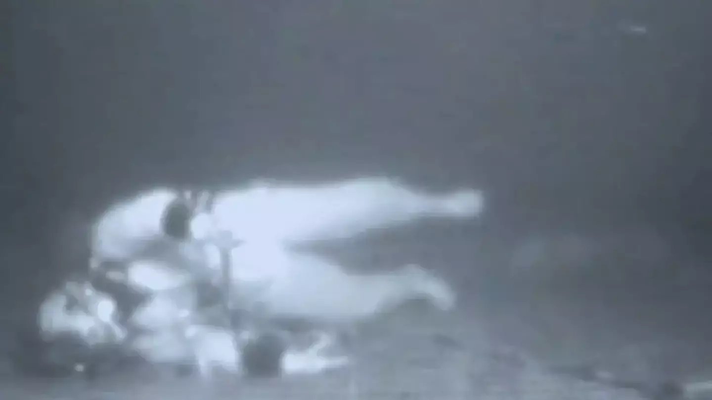 But Lemons' heroic colleagues managed to track him down and rescue him (Dogwoof)