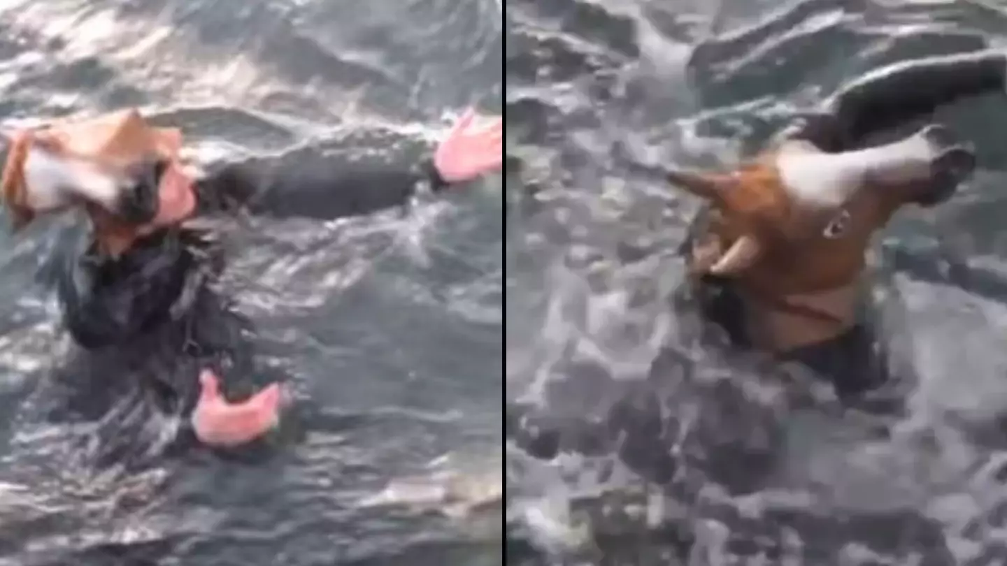 Horrifying video shows moment ‘daredevil’ gets sucked into deadly whirlpool where he died