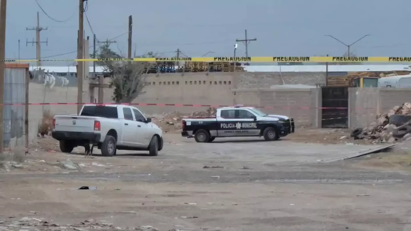 Nearly 400 corpses found on site near US-Mexico border in 'house of horrors'