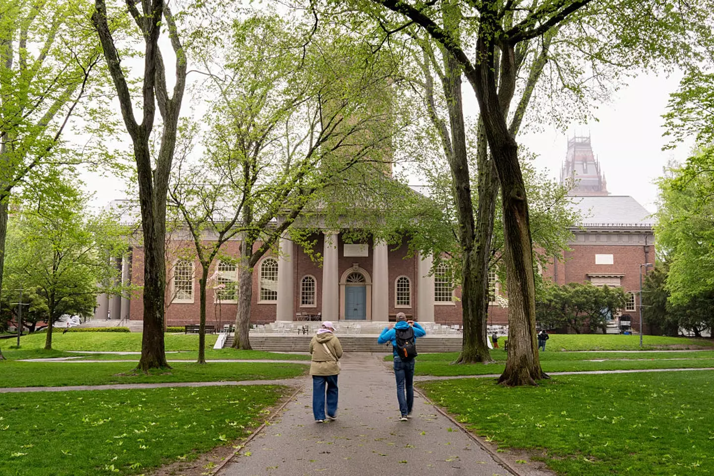 Harvard University (Mel Musto/Bloomberg via Getty Images)