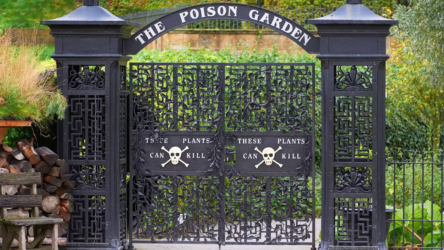 World's Most Deadly Garden Is Under Surveillance 24/7