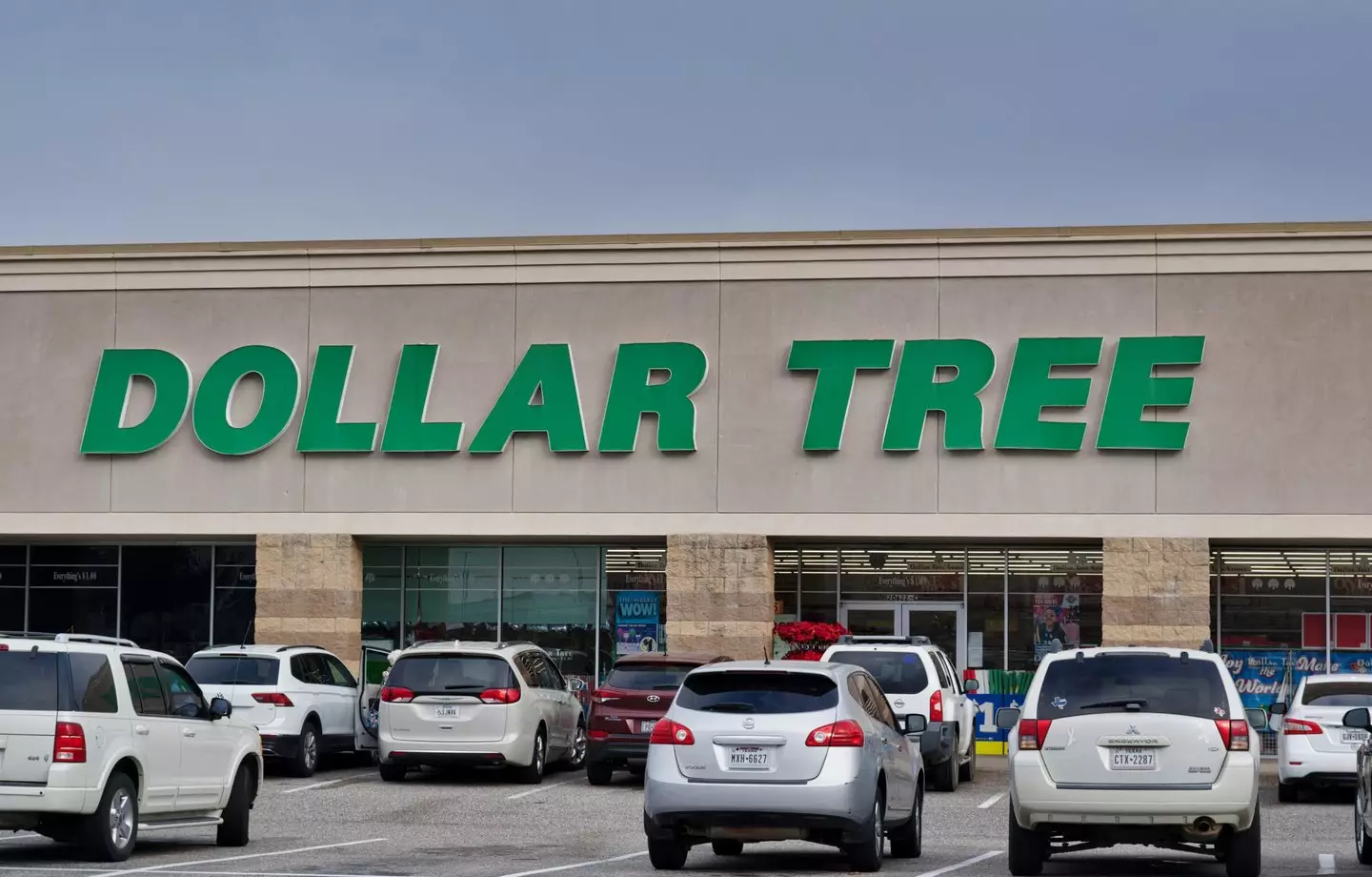 Dollar Tree is now facing a $50 million lawsuit (Getty Stock)