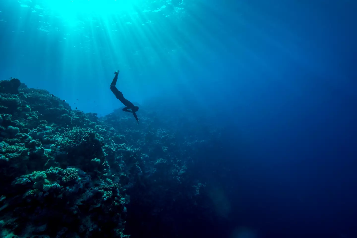 About 30 metres down divers start suffering from something called nitrogen narcosis, which hampers them physically and mentally.