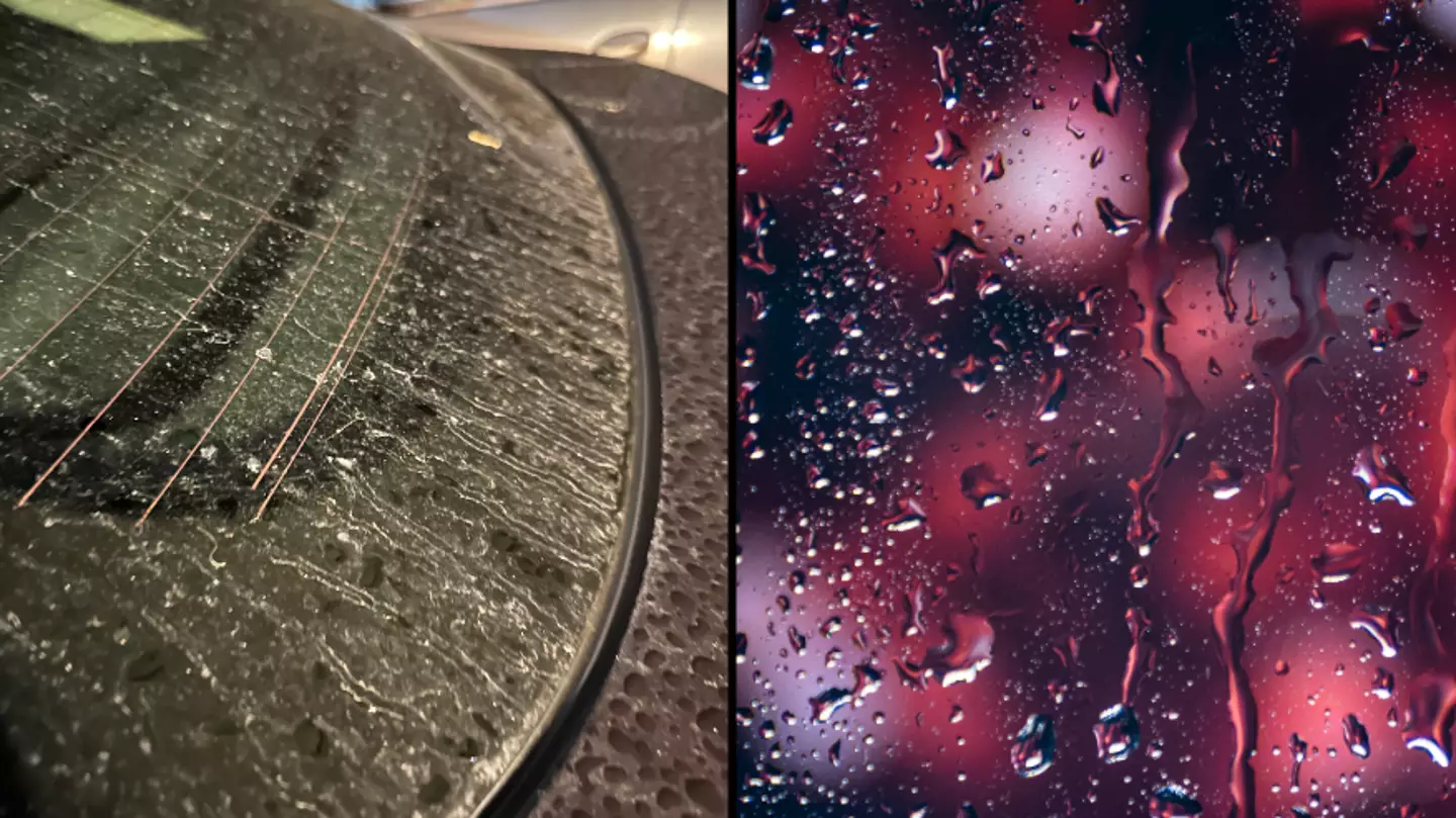 Brits warned to protect their cars as ‘blood rain’ hits the UK