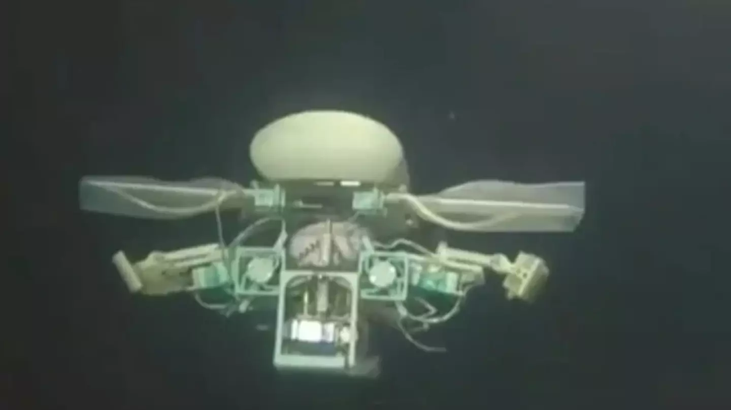 Robot travels to world's deepest point while looking for deep-sea 'aliens'