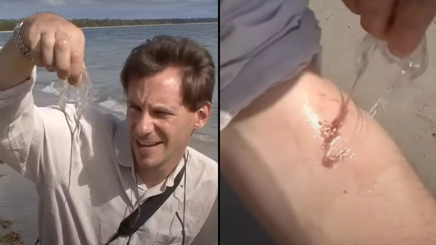 YouTube/George Kourounis