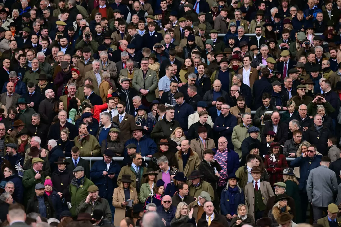 Cheltenham or Benidorm? (BEN STANSALL/AFP via Getty Images)