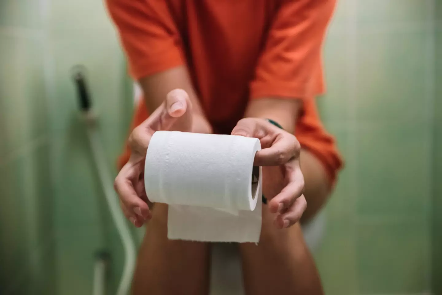 One man's confession about his girlfriend's toilet habits left people seriously grossed out (Getty stock images)