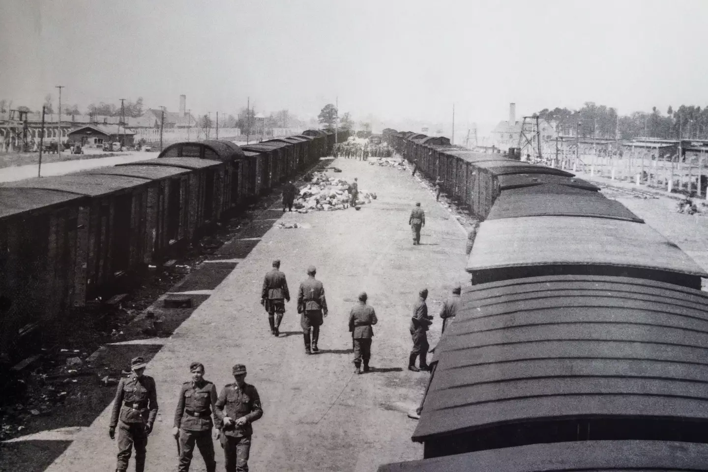 Nazi guards at the Auschwitz-Birkenau concentration camp in 1944.