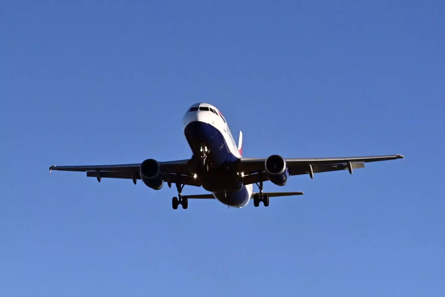 BA pilot Mike Beaton was sacked after attempting to fly home after going on a bender.