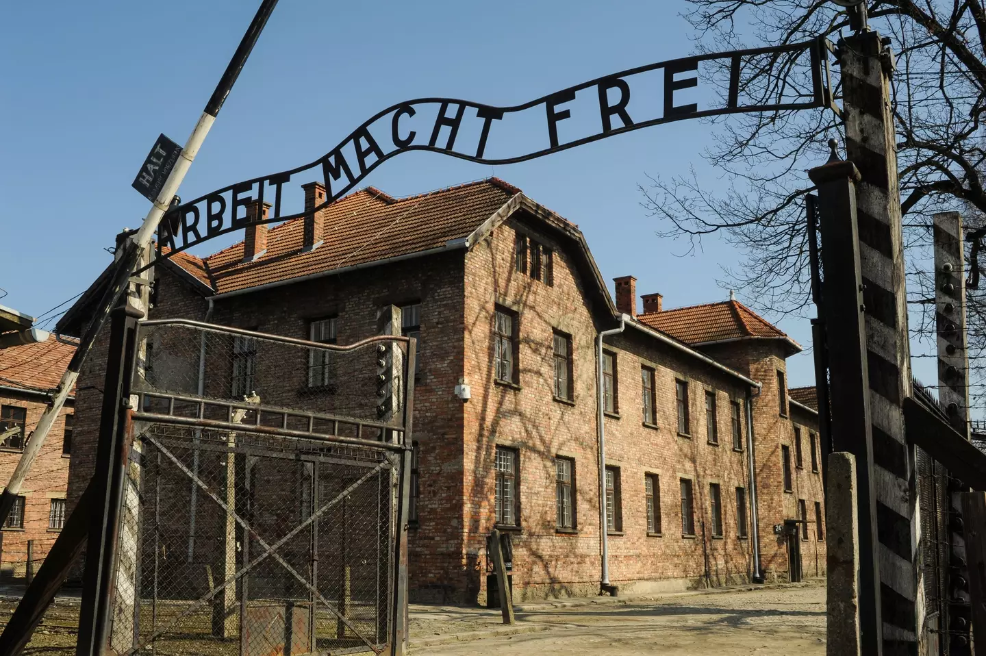 A woman was arrested for doing the Nazi salute beneath the entrance to Auschwitz.