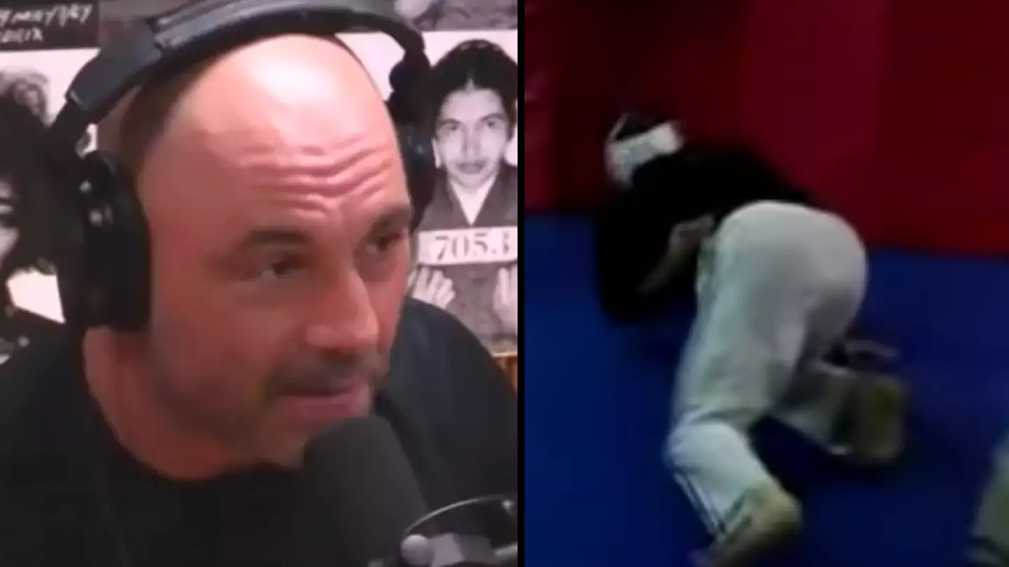 Joe Rogan humiliated internet troll by making him tap out