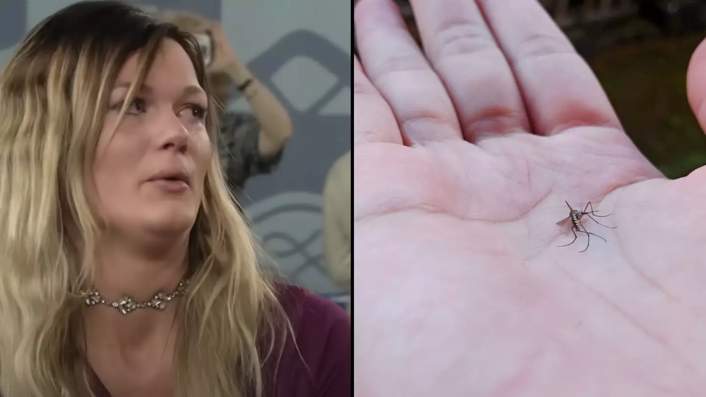 Antiques Roadshow seller bursts into tears as she's told valuation of item after finding mosquito inside