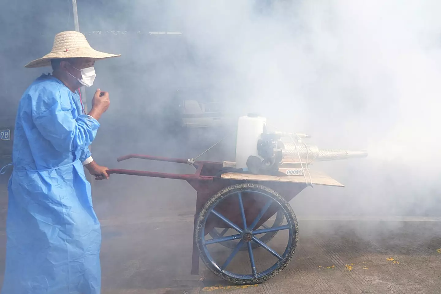 Over 7,000 cases of the Chikungunya virus have been reported in China (VCG/VCG via Getty Images)